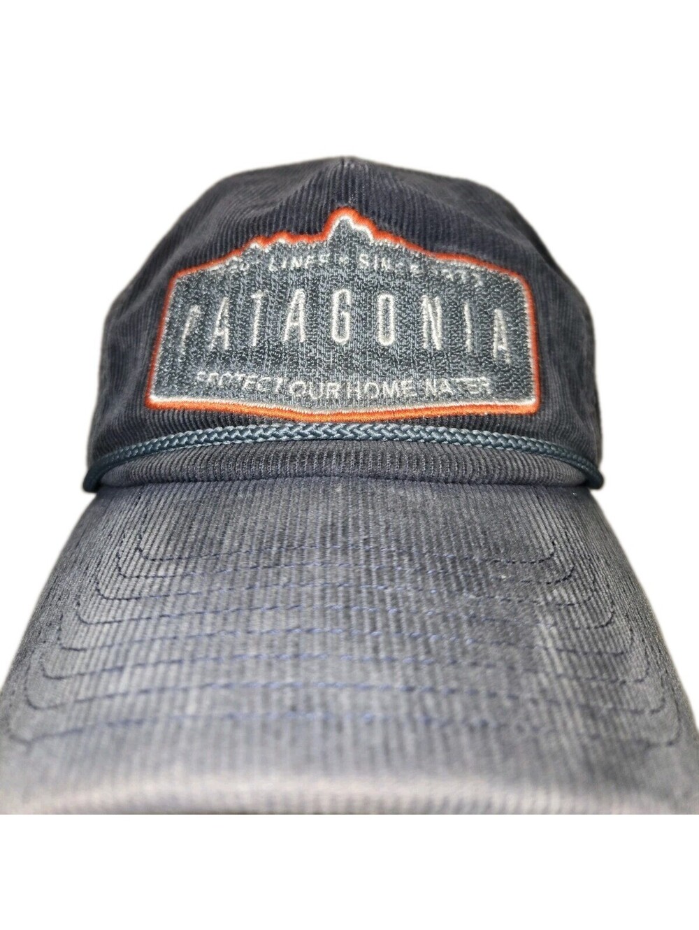 patagonia hat trucker Corduroy  Snap Back 'Protect Our Home water Blue